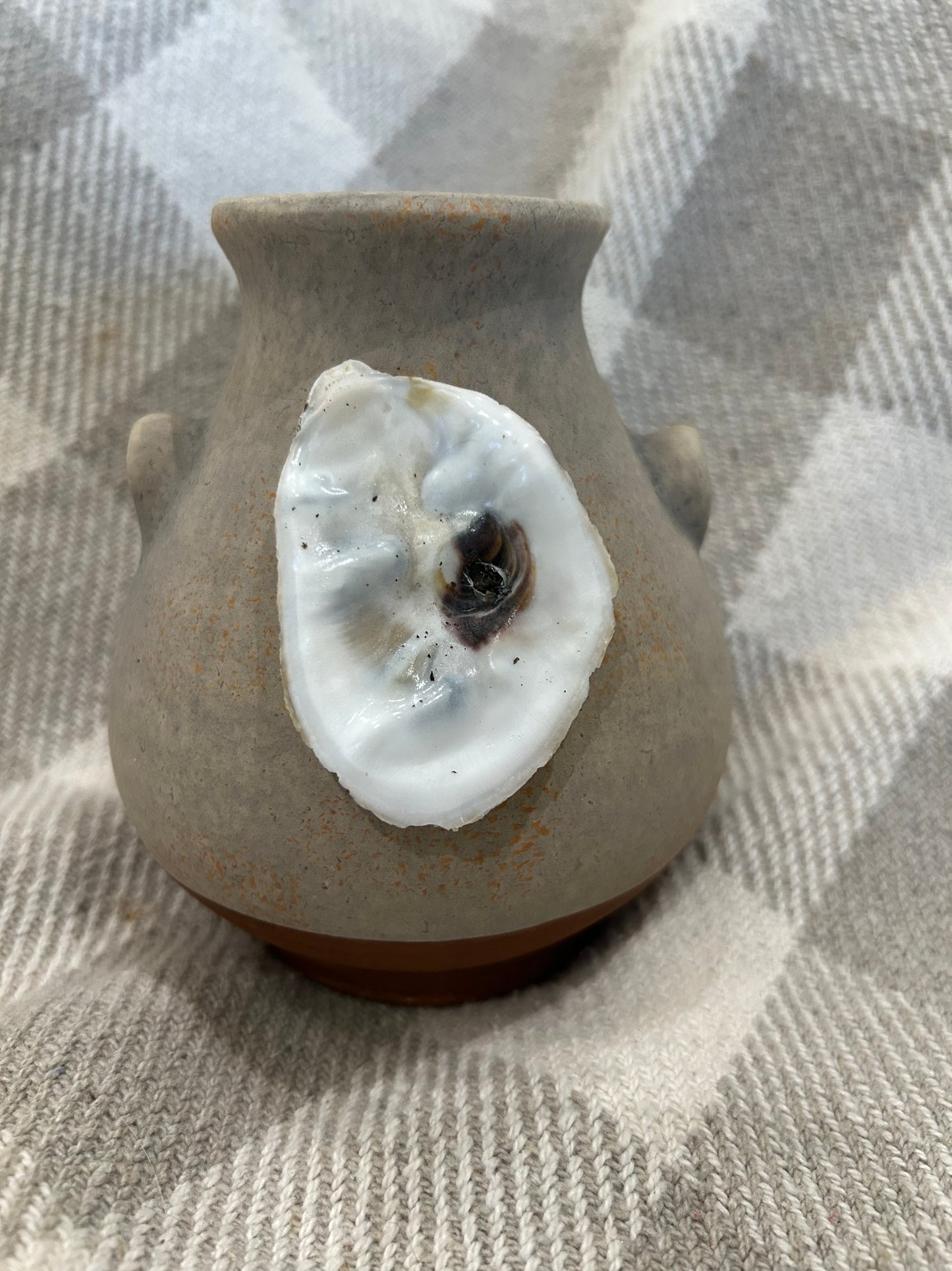 Pottery vase with oyster shell